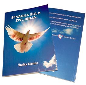 Slika v vrstici 2